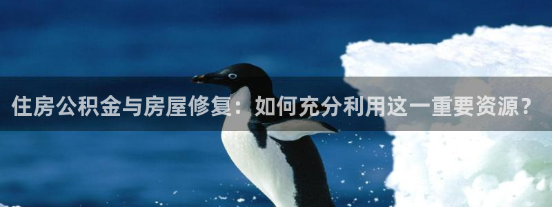 NG体育资讯官网入口